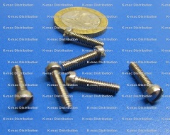 18-8 Stainless Steel Fillister Head Slotted Drive Machine Screws